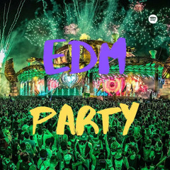 EDM Party