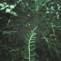 Space Sound - Motin (Original Mix)