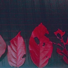 KANA' LOVE