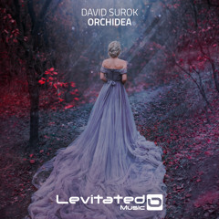 LEV130 : David Surok - Orchidea [OUT NOW]