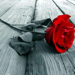 NOBODY ELSE (R&B) SNEAK PEAK