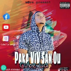 Paka ViV San Ou