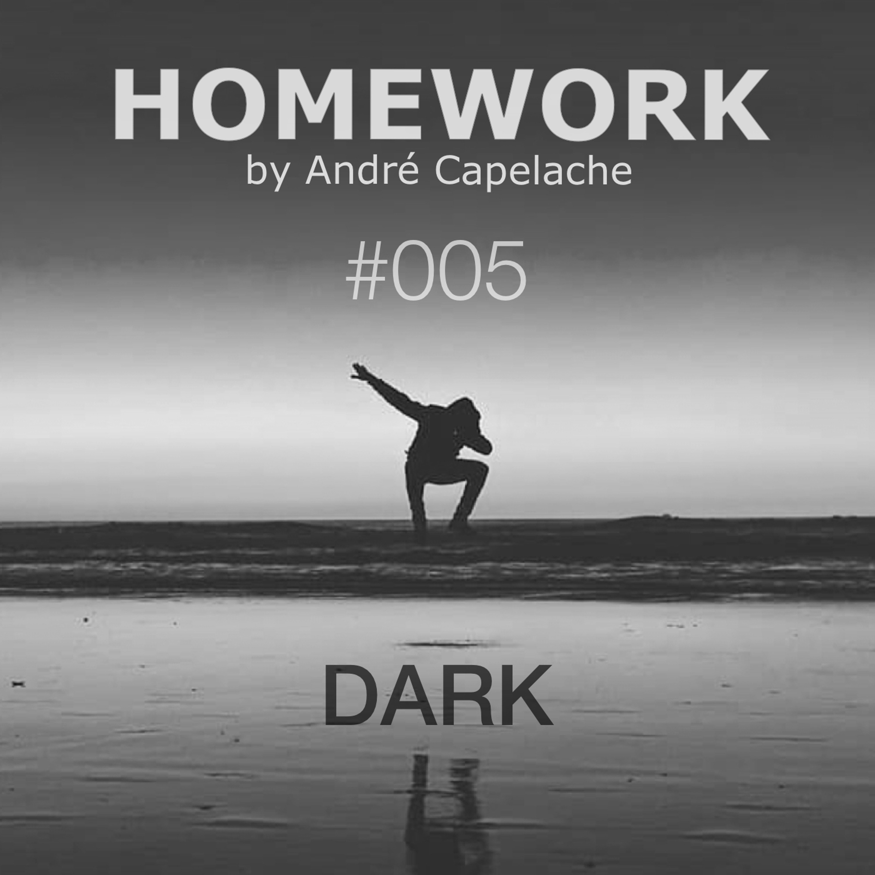 André Capelache HOMEWORK