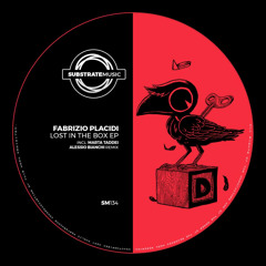 Fabrizio Placidi - Black Brick (Alessio Bianchi Remix)