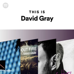 This Is David Gray