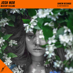 Josh Nor - Mistery Feeling (Original Mix)Complete track on the description