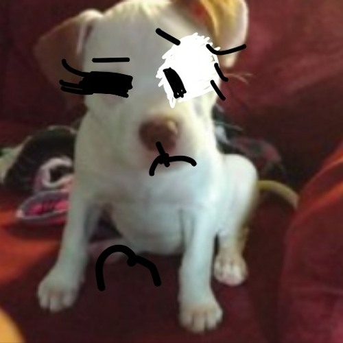 I Am Not A Robot Meme By Queen Wolfie Xd I Am Not A Robot Meme By Queen Wolfie Xd