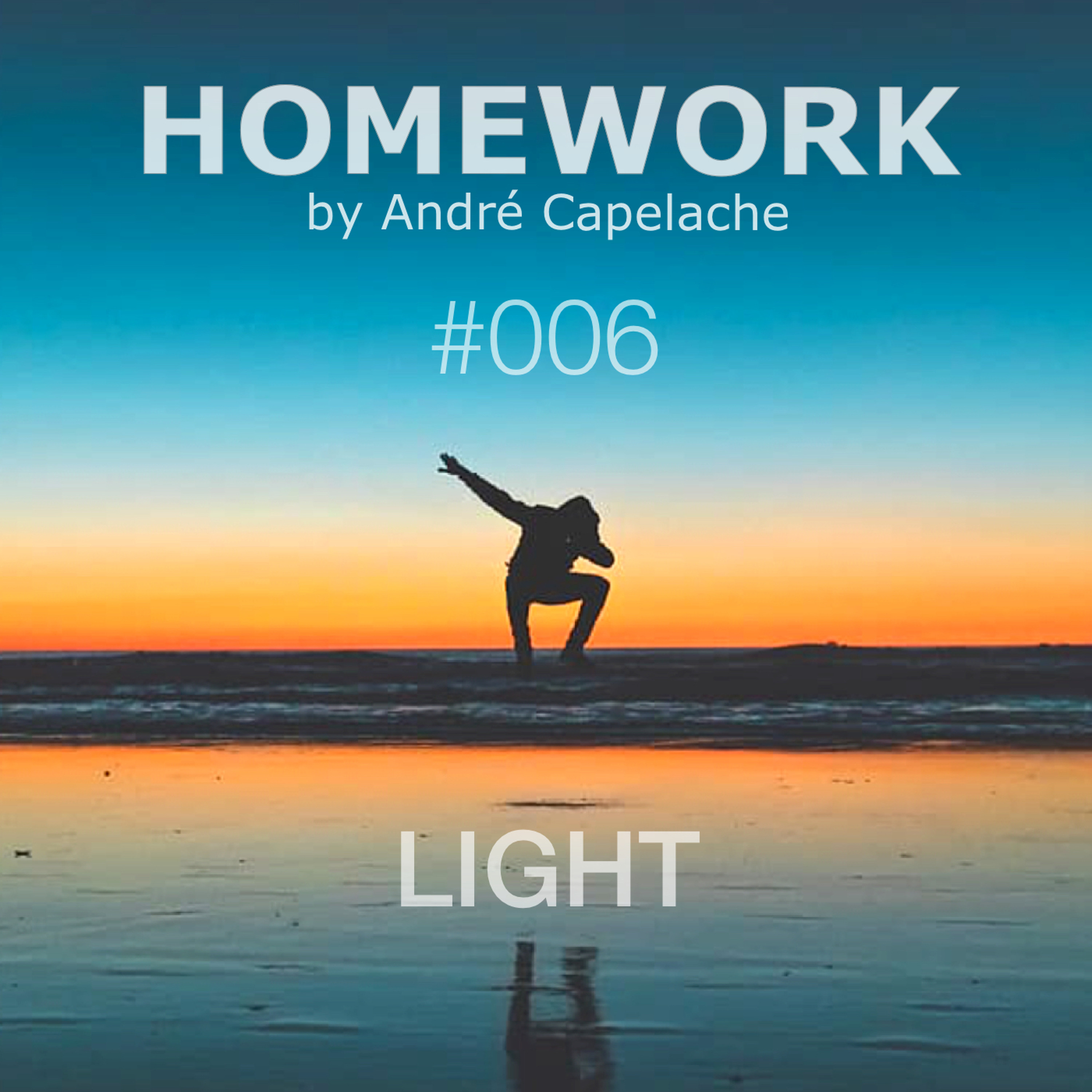 André Capelache HOMEWORK