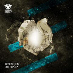 David Sellers - Anything Is Possible (Original Mix)