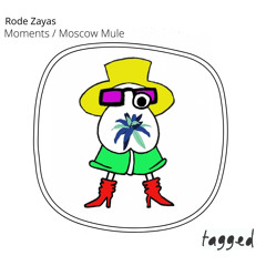 Rode Zayas - Moments (Original Mix)