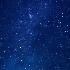 في الشاطئ هدى عربي و عاصم البنا