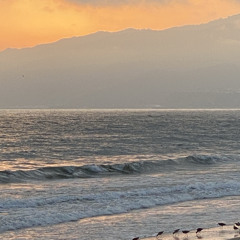 Race To Sunrise