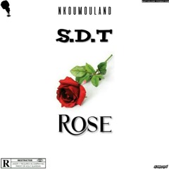 SDT-ROSE