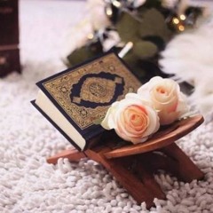 سورة الزمر تلاوه مؤثره للقارئ رعد الكردي