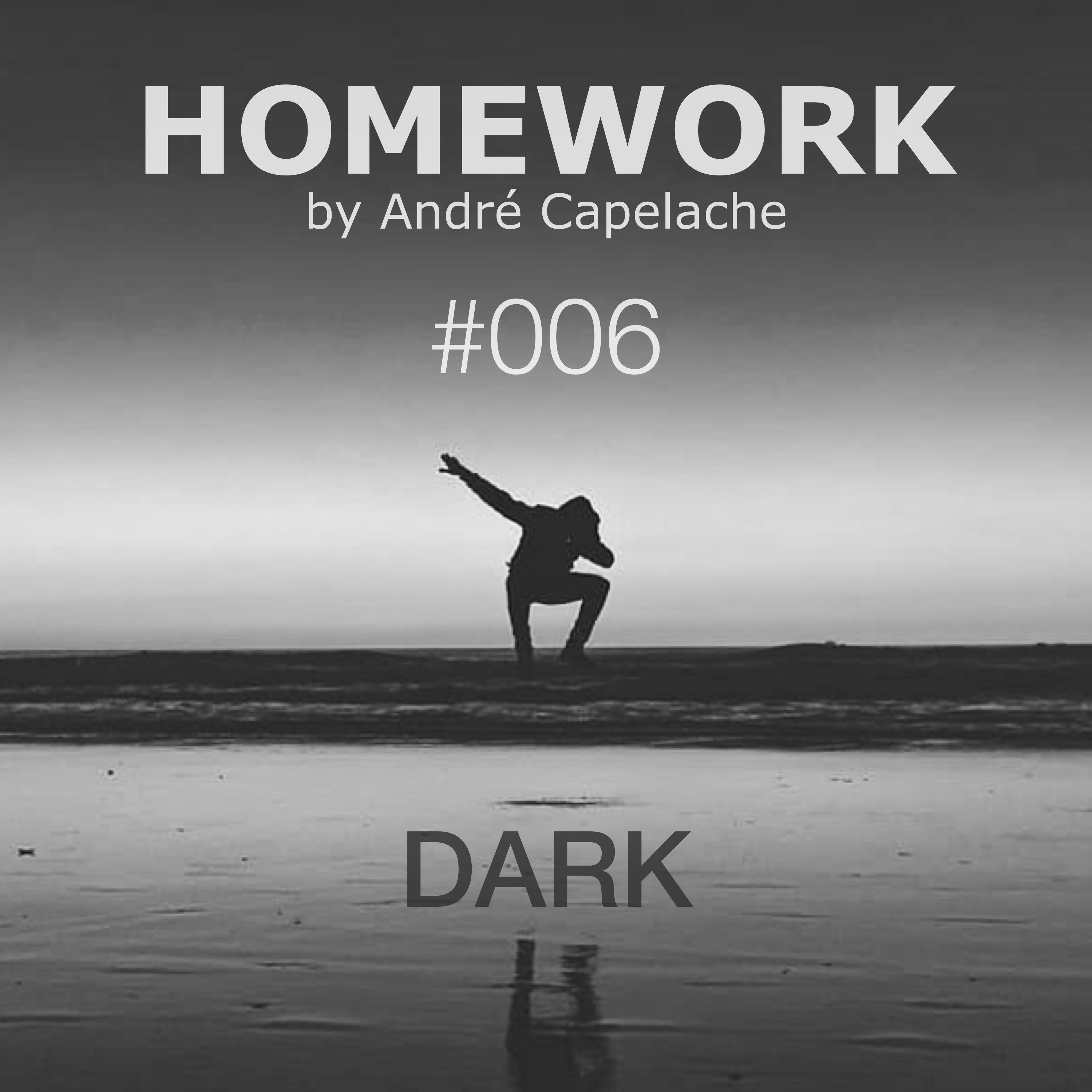 André Capelache HOMEWORK