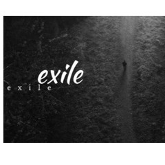 Exile - Taylor Swift - Remix