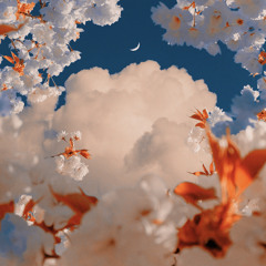 Stupid in Love ( cover ) ft.Akopaz