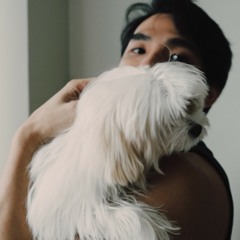 me & you together song - The 1975