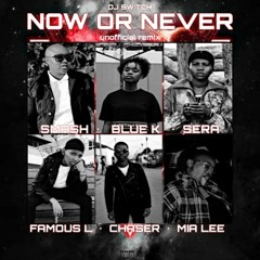 Famous L, Smash, Blue K, Sera, Chaser & Mia Lee - Now Or Never unofficial remix