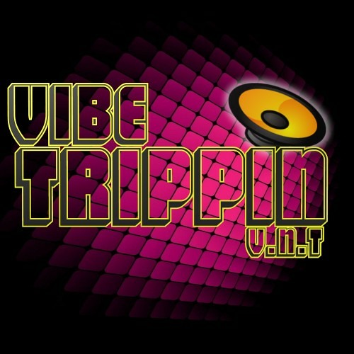 D j Logistics  Mc Vibe Mc Trippin
