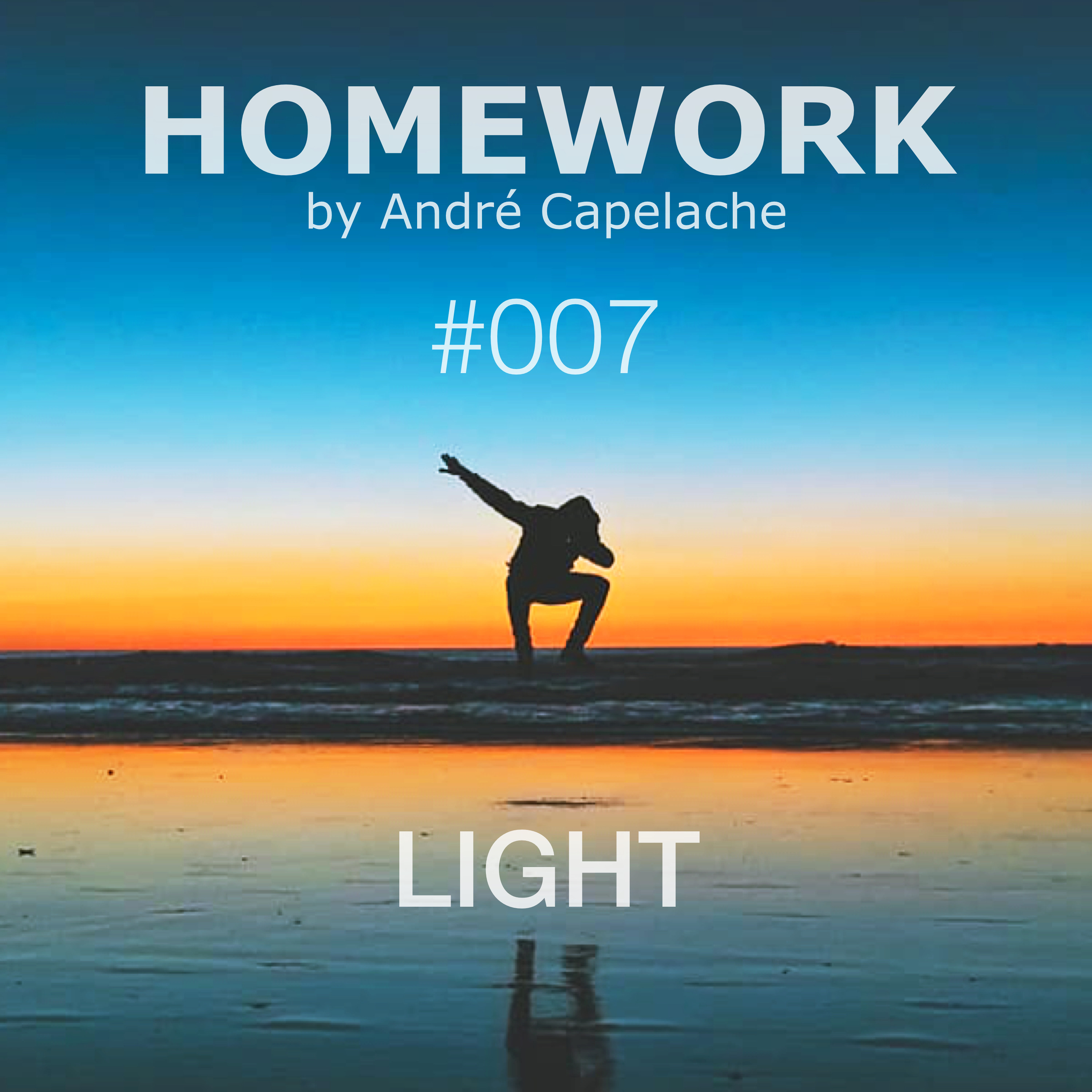 André Capelache HOMEWORK