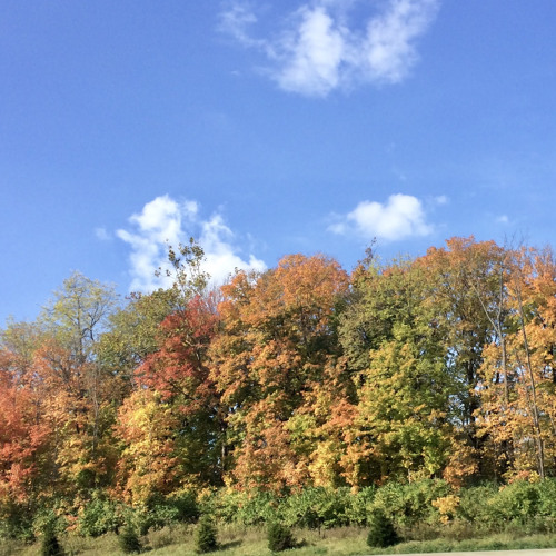 Autumn Goodbye (Live)- words and music by Dann Zehr, music by Brenda Britton c. 2018