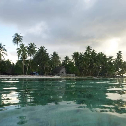 🌴🌺EAU🌺🌴cover by Dee