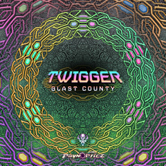 TWiGGER & Spiritual Molecule - Sympathy