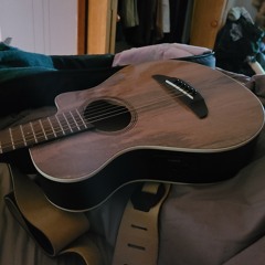 the last of us theme- one month with guitar