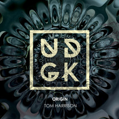Tom Harrison - Origin (Original Mix)