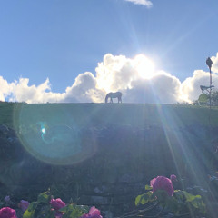 the horses on the hilltop (demo)