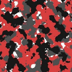 Joey nato x moxas timeless