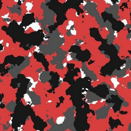 Joey nato x moxas timeless