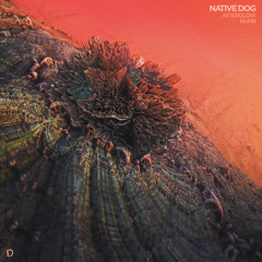 Native Dog - Numb