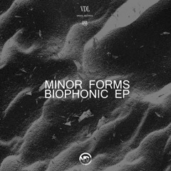 Minor Forms - Shadows (Original Mix)