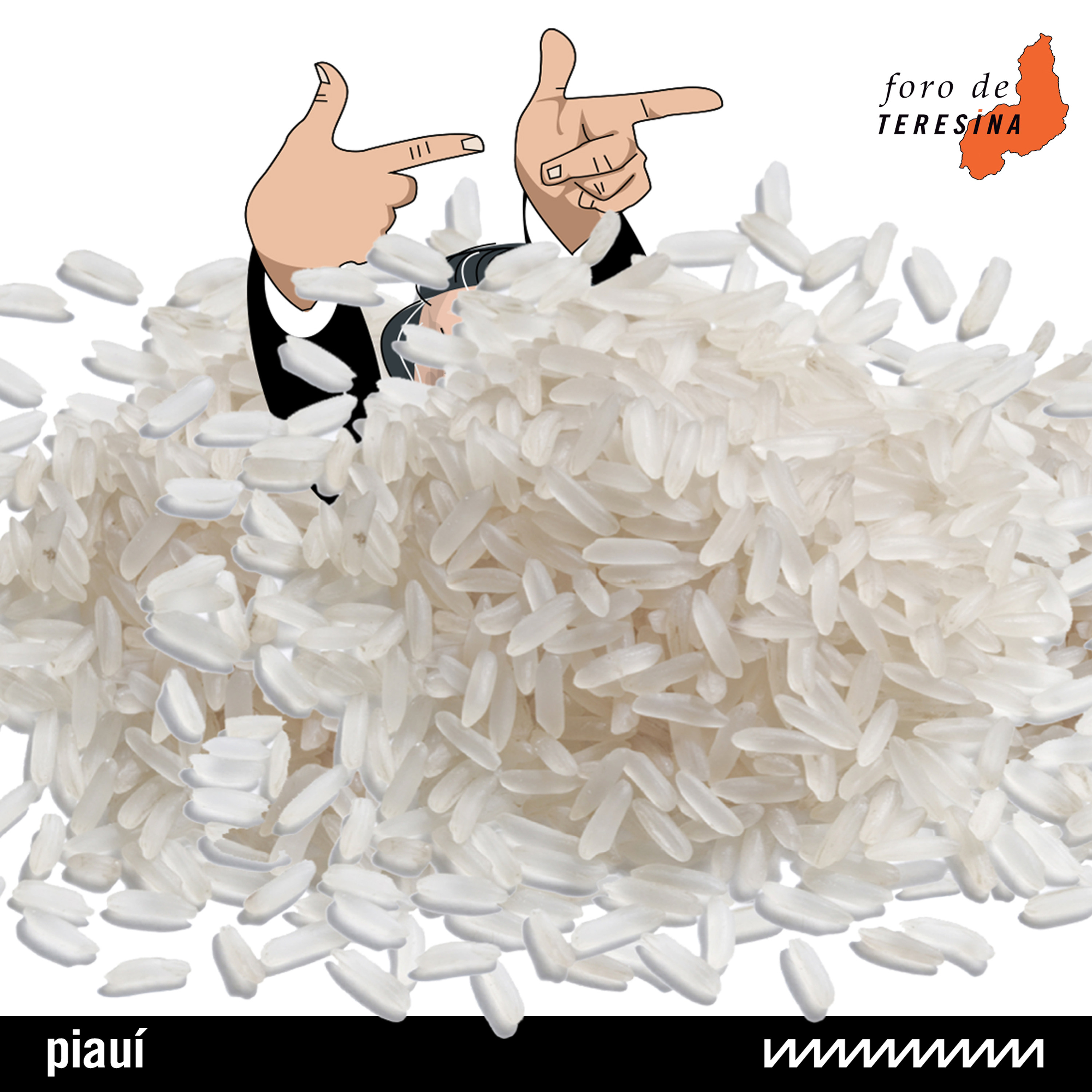 revista piauí