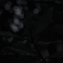 熱帯夜 - RIP SLYME (OFF VOCAL)