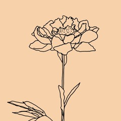 I dunno i found this on tiktok - credits: @lynlapid & @stupidsri