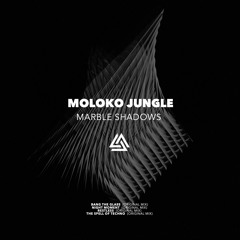 Moloko Jungle - Night Moment (Original Mix) - [Egothermia]