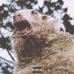 Lookin’ for an Escape