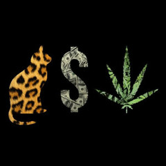 Pussy Money Weed