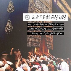 تلاوة رائعة ومؤثرة من سورة المائدة للشيخ أنس العمادي فجر الإثنين ٢٦-١-١٤٤٢هـ