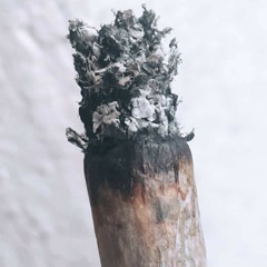 ŻYTO - WYDAĆ TĄ PŁYTĘ