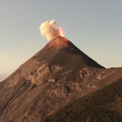 Stony Bird [Vocalized]