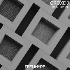 FEEL HYPE BLACK: Grox​DJ - Try Stop Me (Original Mix) SNIPPET | FHB033