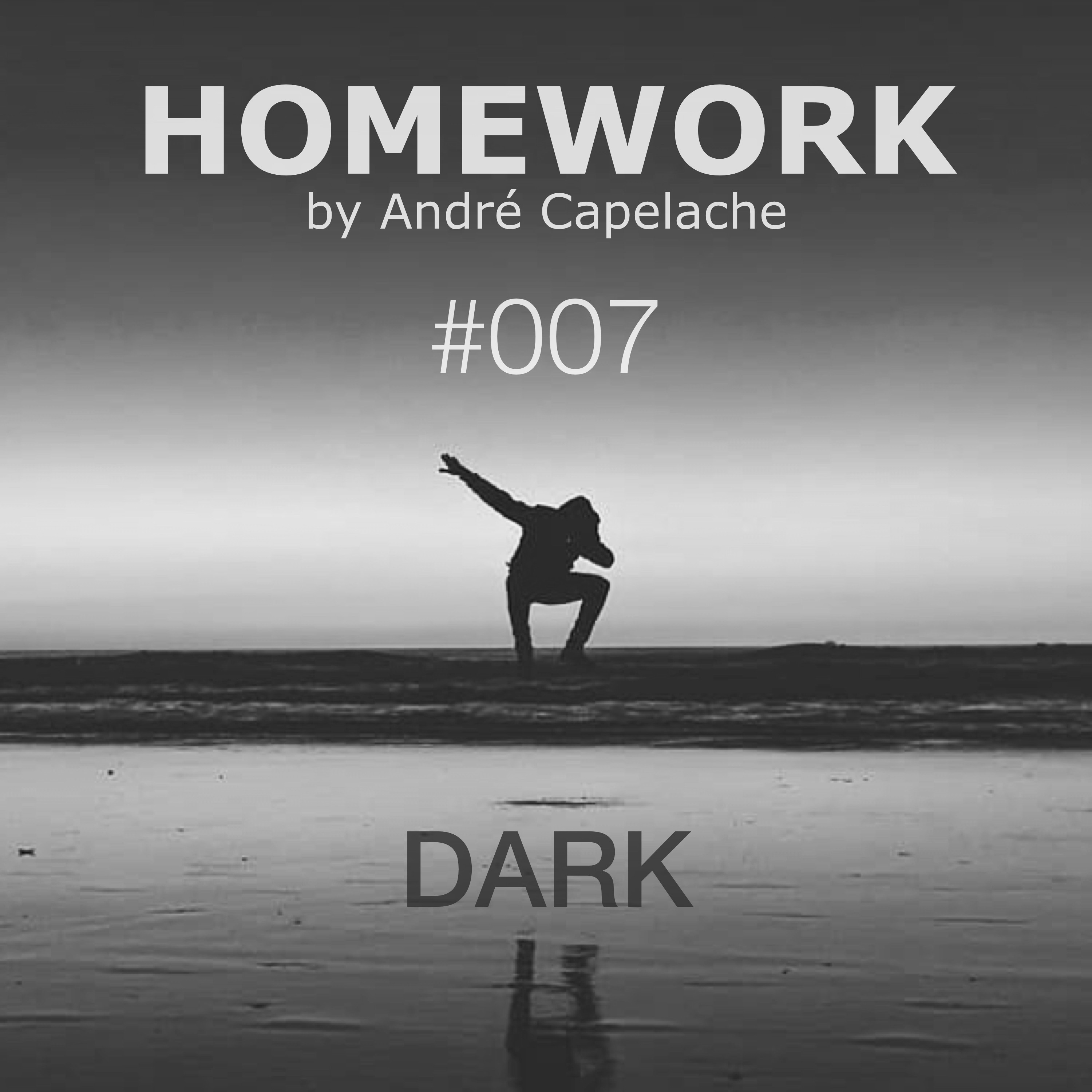 André Capelache HOMEWORK