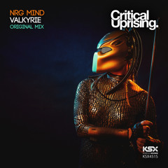 KSX451/S : NrgMind - Valkyrie (Original & Extended Mixes) TEASER