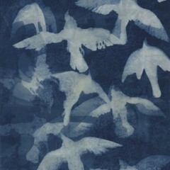 bir yaralı kuştum (gaye su akyol cover)