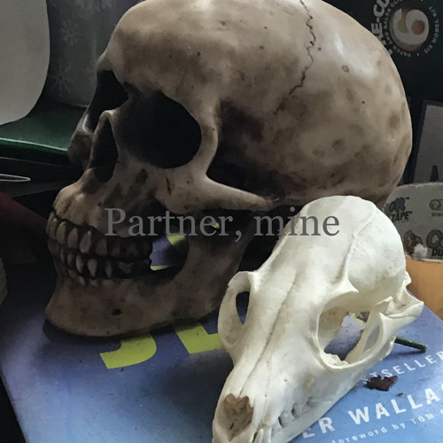 Partner, mine (An Alice “Daisy” Tonner fansong)