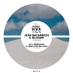 Blissari, Jean Bacarreza - Voices (DJ Wady, Rio Dela Duna Remix)